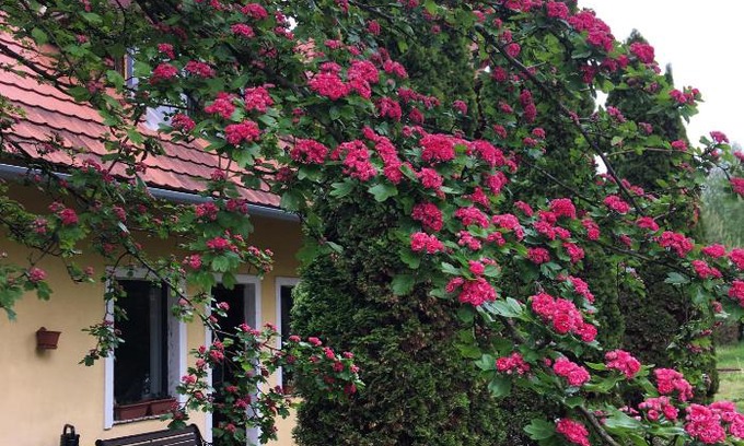 Bakonybel House | Bakonyi Kemencésház