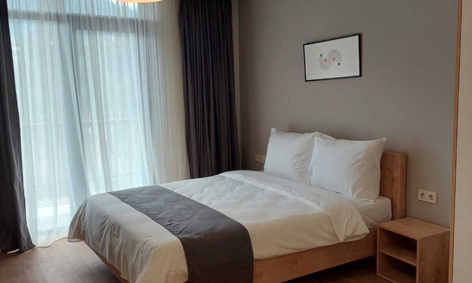 Bakuriani Apartment | Bakuriani apartment m25 (517)