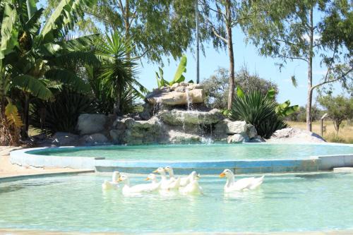 Grootfontein House | Bambi Lodge