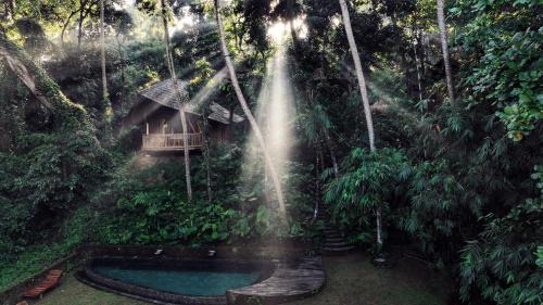 Sukawati Cabin | Bamboo Turtles Ecolodge