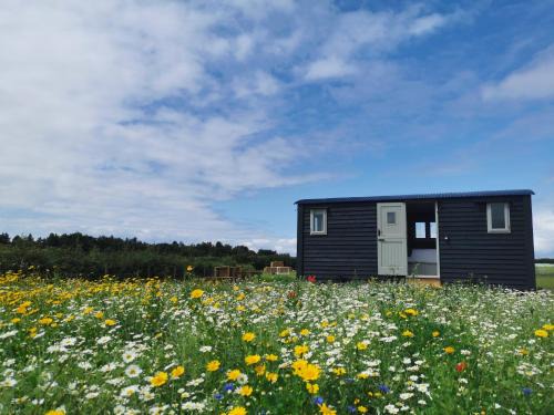Snettisham Other | Barley Shepherd Hut - Snettisham Meadows