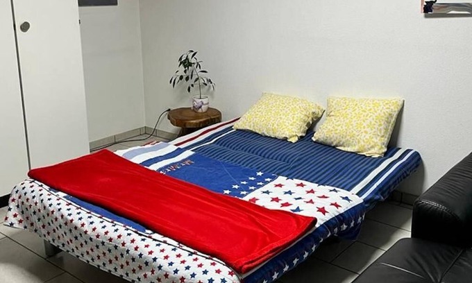 Muttenz Apartment | Basel - 5 mins away - Modern Basement Studio with Kitchen 35m2 in Muttenz