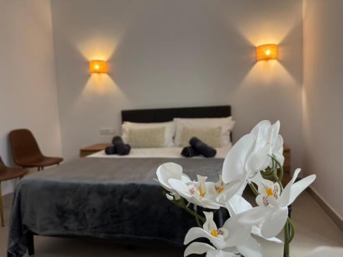 Xirivella Apartment | Basset 2