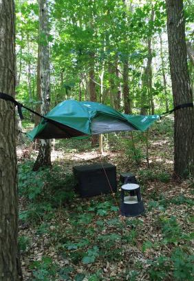 Selmsdorf Other | Baumzelt mitten im Wald bis 180kg