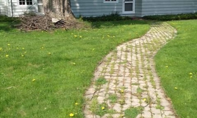 Fort Erie House | Bay Beach house. No roads to cross to beach. Private beach.