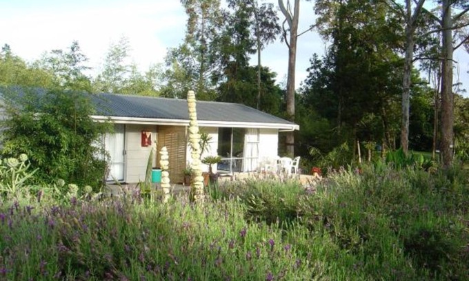 Haruru Other | Bay of Islands Holiday Park