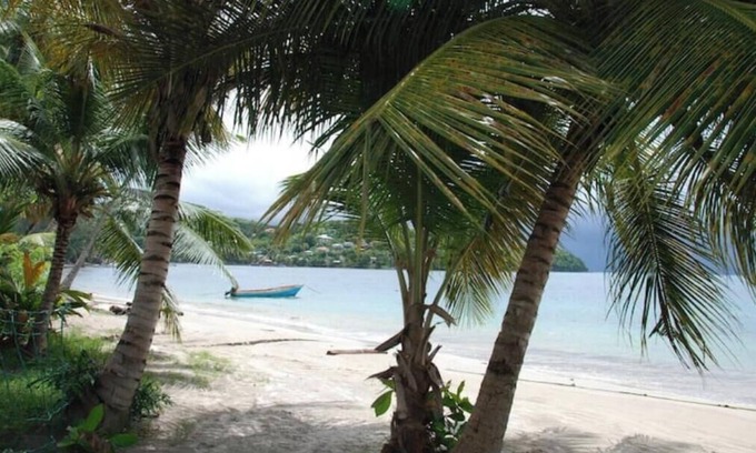 Vieux Fort House | Bay Treehouse