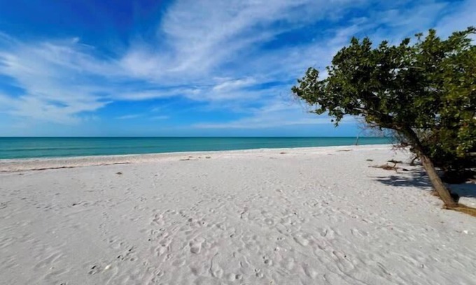 Placida House | Beach Buzz! Gulf-view home overlooking the beach.