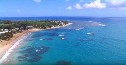 Vilomar Apartment | Beach front apartment in Luquillo