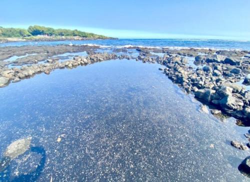 Punaluu Apartment | Beachfront 1 Bedroom Condo with Private Beach, Pool, Hot Tub