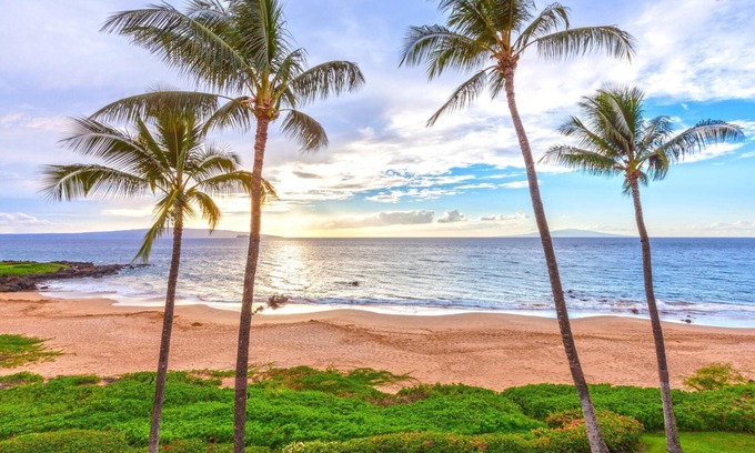 Wailea Condo | Beachfront Condo B303