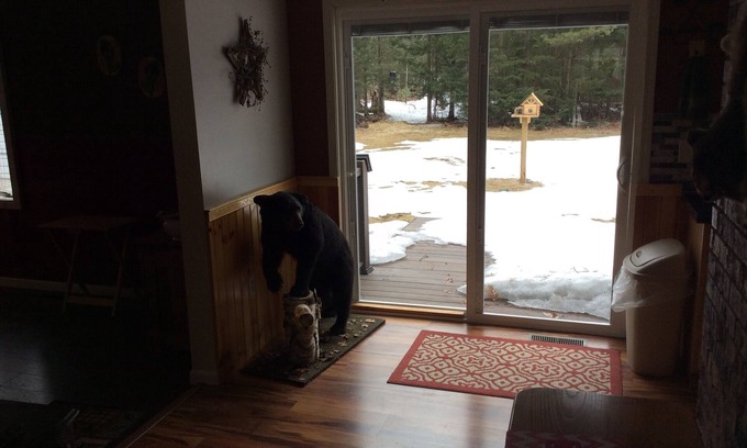 Kalkaska Villa | Bear Lake get away near Kalaskla MI
