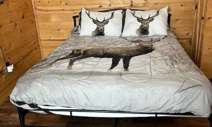 Antlers Cabin | Beau’s Place