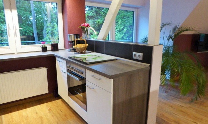 Region Hannover District Apartment | Beautiful vacation apartment with a view of the Steinhuder Meer