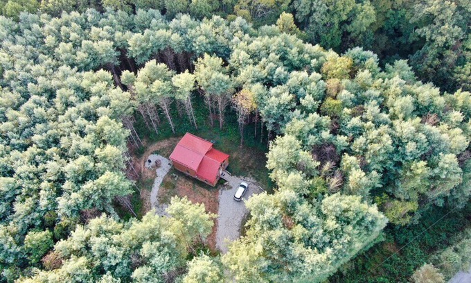 Sharpsburg Cabin | Beautiful 3 Bedroom cabin in the Pines
