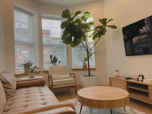 Bushwick Apartment | Beautiful Apartment shared with the Host in the Heart of Bushwick