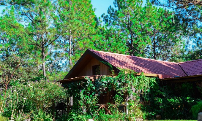 Perquin Cabin | Beautiful cabin on amazing forest in Perquin
