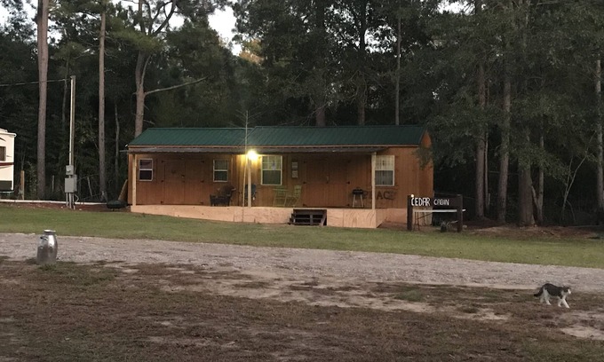 Willis Cabin | beautiful cedar hut in the woods