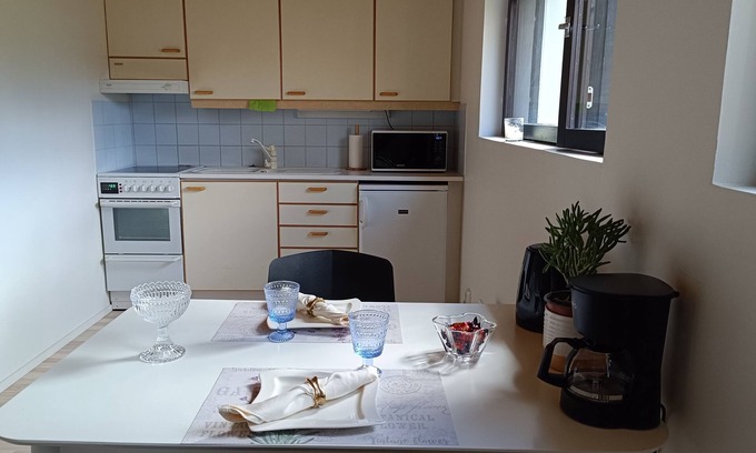 Jarvenpaa House | Beautiful Clean & Cosy studio near the center of Helsinki/ Pet Friendly