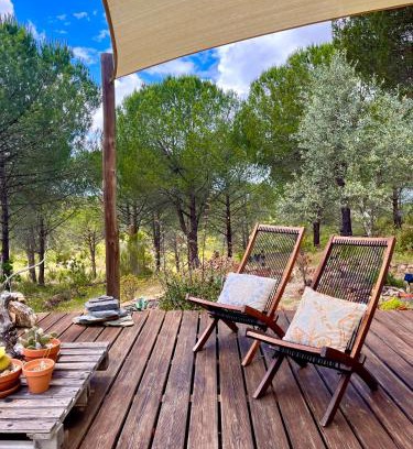 Baiona House | Beautiful country home immersed in pine nut farm
