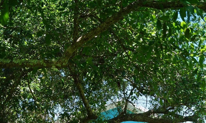 Oyster Bay House | Beautiful country setting 15 min drive to the beach, close to Oyster Bay