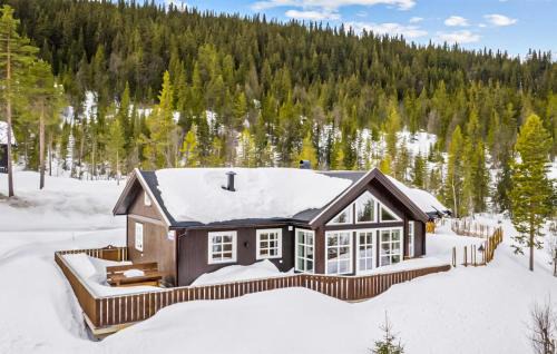 Nore og Uvdal House | Beautiful Home In Rødberg