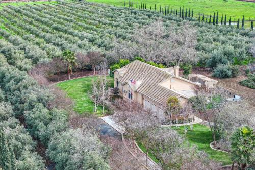 Byron House | Beautiful Home with Hot Tub on Byron Olive Farm