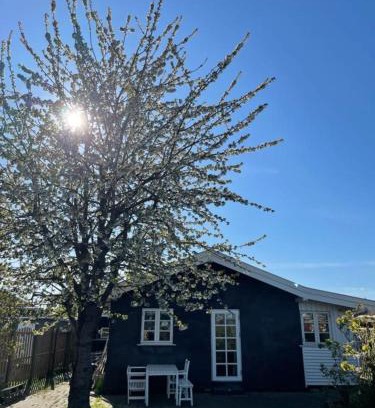 Hvidovre Municipality House | Beautiful House, just a few km from the vibrant center of Copenhagen