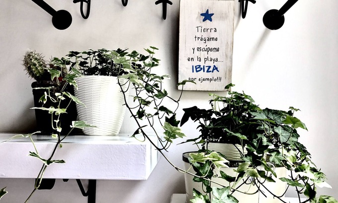 Old Town Apartment | BEAUTIFUL JULY IN PERUGIA HISTORIC CENTER