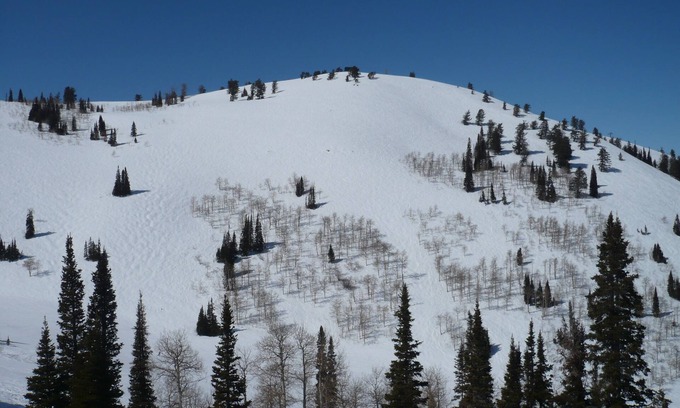 Powder Mountain Condo | Beautiful Powder Ridge Resort (Ski In /Ski Out) Best Value In Utah!