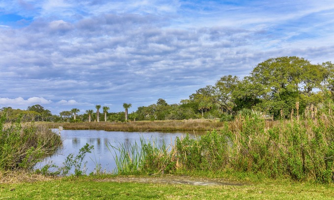 Tarpon Pond House | Beautiful Remodeled Cottage! Screened Porch w/Water Views! Perfect Location! Amenity Cards!