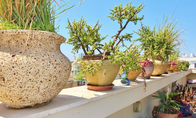 Tel Aviv City Center Apartment | BEAUTIFUL RENOVATED 2 BR ROOF APT IN CENTRAL TLV