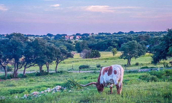 Florence Other | Beautiful Texas Hill country, amazing views, and farm living