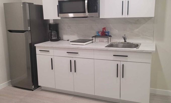 Fort Gary House | Beautiful walk-out basement 1 bedroom apartment with new appliances.