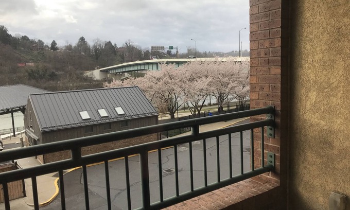 Morgantown Condo | Beautifully appointed one bedroom condo on Mon River in Morgantown, WV