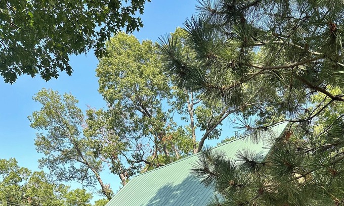 Afton Cabin | Becker's Bungalow on Monkey Island with outdoor deck! Pet & family friendly!