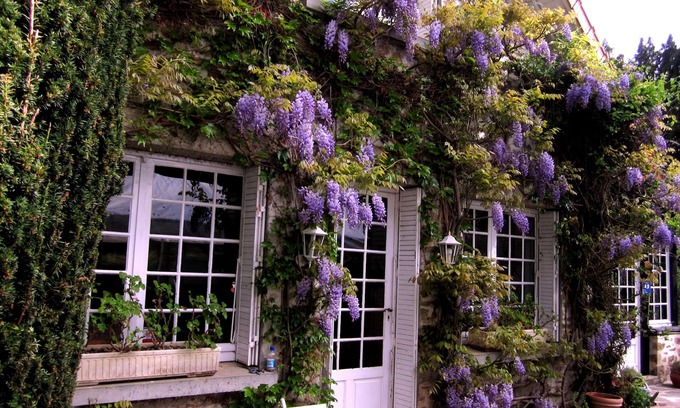 Chateauneuf-la-Foret Bed & Breakfast | Bed and breakfast , chambres d'hotes with swimming pool