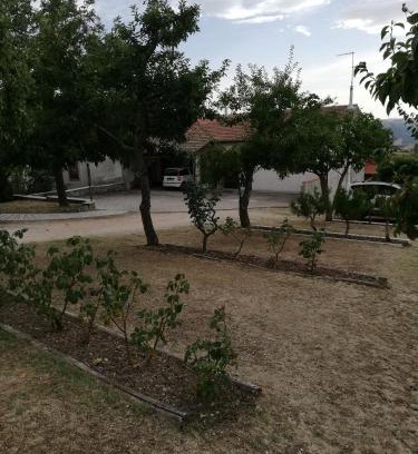 San Bartolomeo in Galdo Bed & Breakfast | Bed and Breakfast "POGGIO MARANO"