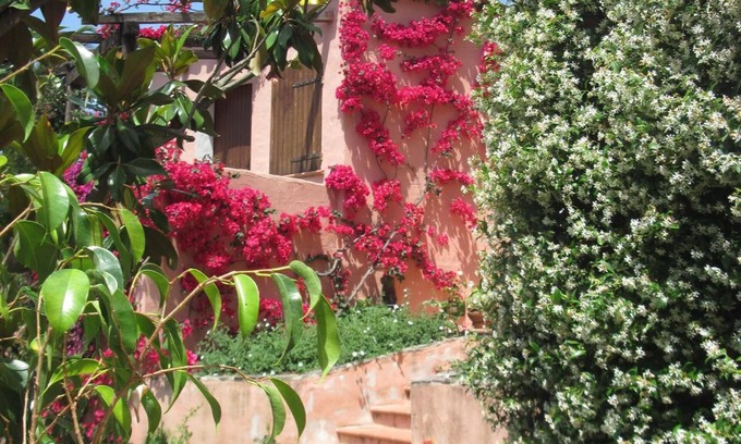 Olbia Bed & Breakfast | Bed and Breakfast Dessole