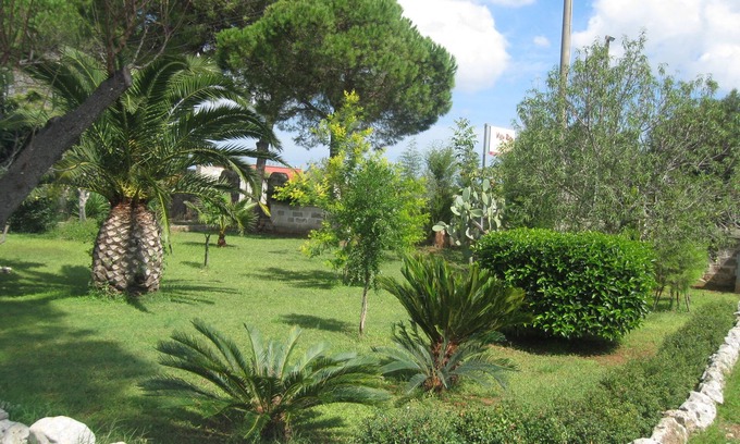 Campi Salentina Bed & Breakfast | Bed & Breakfast Villa Rita