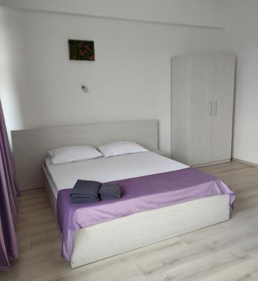 Pitesti Bed & Breakfast | Bedaleyl