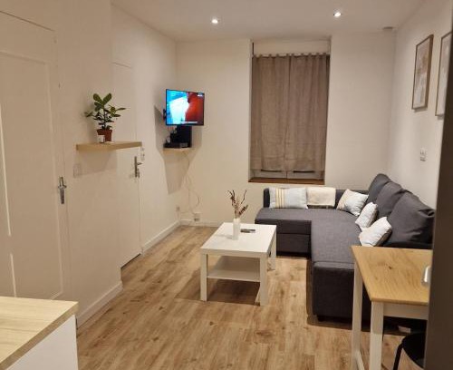 Fleury-les-Aubrais Apartment | Bel appartement cosy