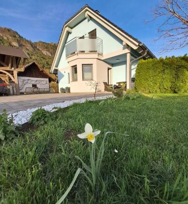 Zirovnica Apartment | Bella Apartment