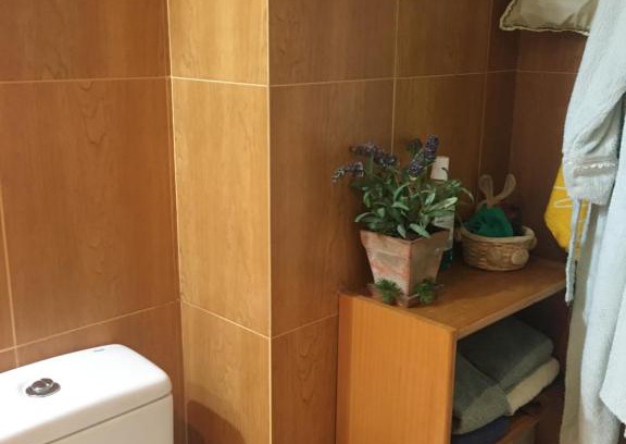 Chisagues Apartment | Bella vista Bielsa