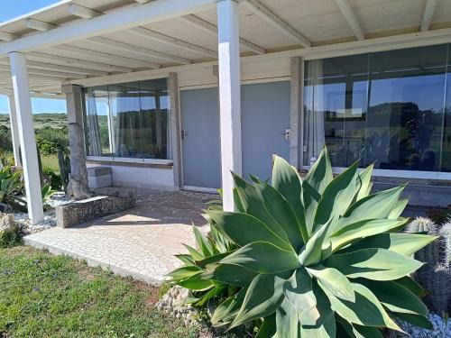 Santa Teresa di Gallura House | Bello Bello Rooms