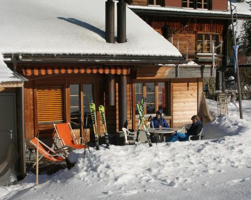 Adelboden Apartment | Bergdohle