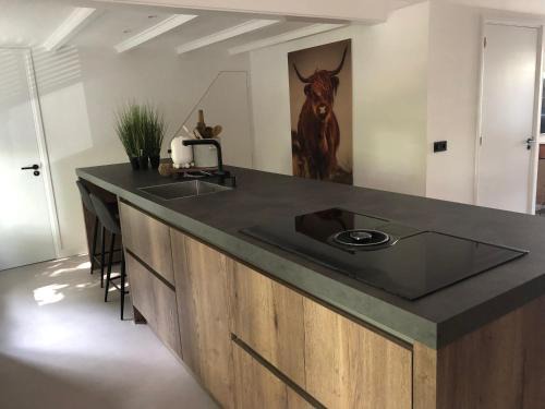 Bergen Apartment | Bergenshofje