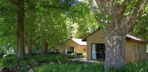 Cathkin Park Cabin | Berghaven Cottages