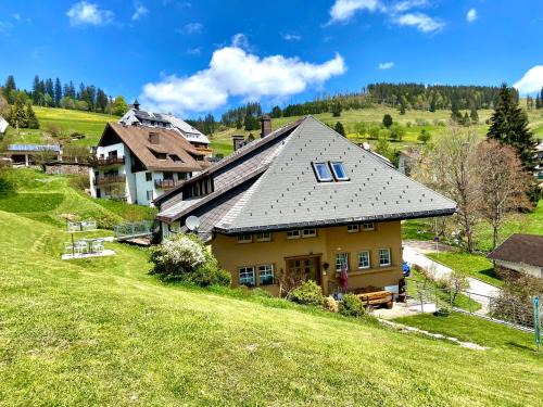 Todtnauberg Apartment | Berghof Almzeit - Fewo "Philosophenstüble", Sauna, Todtnauberg, Feldberg