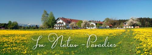Bad Heilbrunn Apartment | Bernwieserhof